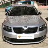 Skoda Octavia 1.8 TSI DSG 2013