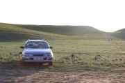 Toyota Caldina 1.8 MT 1997