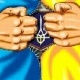 Виталий Дрозда