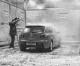 Egor37