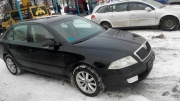 Skoda Octavia 1.9 TDI DSG 2004